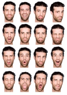Original grid of sixteen facial expressions illustrating different emotions.
