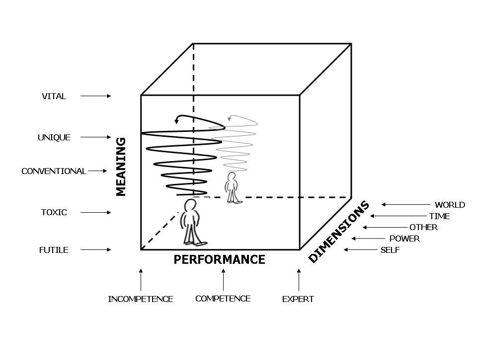 Original Matrix Model diagram showing meaning, performance and the five content dimensions.