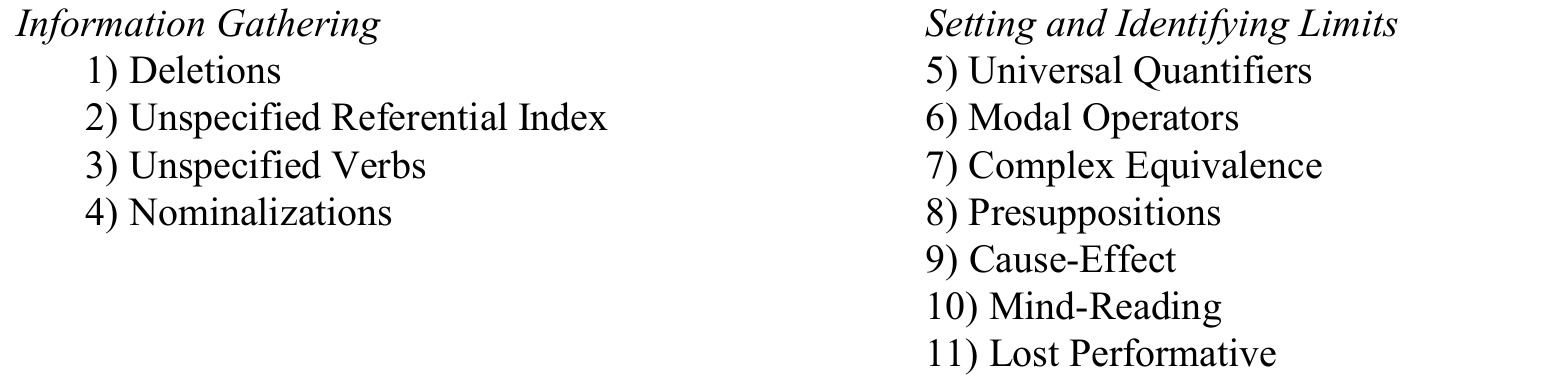 Original two-column Meta-Model list: Information Gathering and Setting and Identifying Limits, preserving all eleven numbered entries.