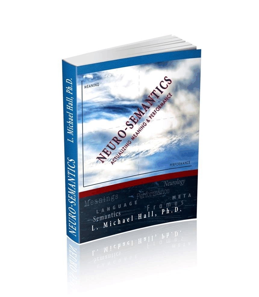Neuro-Semantics — original upright book