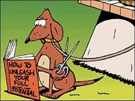 Original cartoon illustrating “How to unleash your full potential,” as printed with the article.