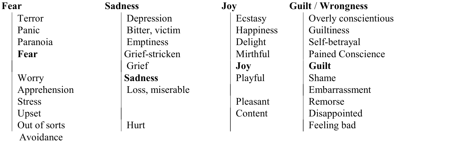 Original Fear, Sadness, Joy and Guilt / Wrongness scales, with every label in its own column.