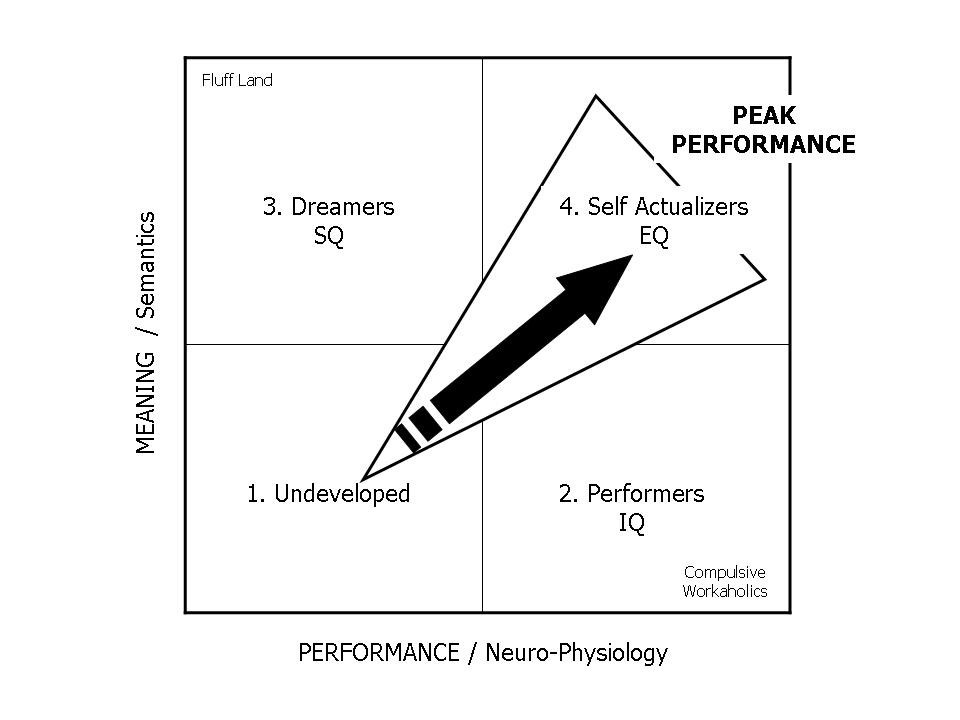 Original meaning–performance quadrants and peak-performance synergy arrow, with all labels preserved.
