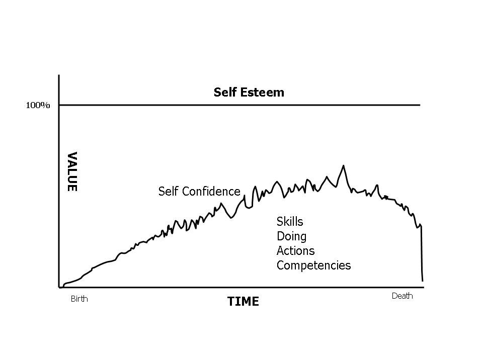 Original chart contrasting constant self-esteem with fluctuating self-confidence over a lifetime.