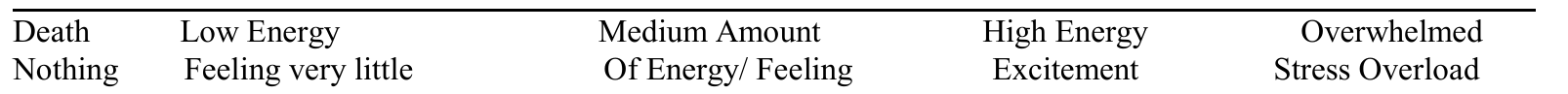 Original five-stage continuum: Death / Nothing; Low Energy / Feeling very little; Medium Amount / Of Energy/ Feeling; High Energy / Excitement; Overwhelmed / Stress Overload.