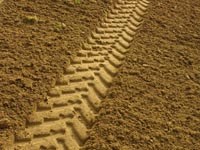 Vehicle tracks in dirt, the original ecology-check illustration.