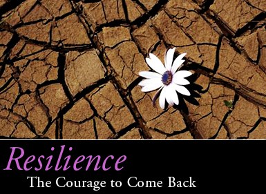 A flower growing through cracked ground: Resilience, the Courage to Come Back.