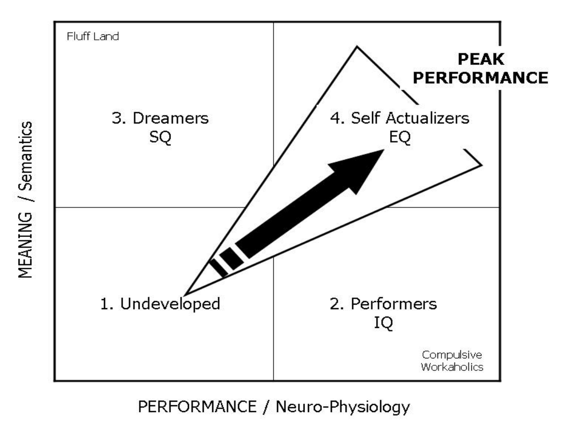Original self-actualization flow diagram, with Meaning/Semantics and Performance/Neuro-Physiology axes, the four quadrants and the diagonal path toward peak performance.
