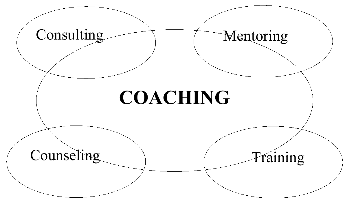 The helping modalities: coaching, consulting, mentoring, counseling and training.