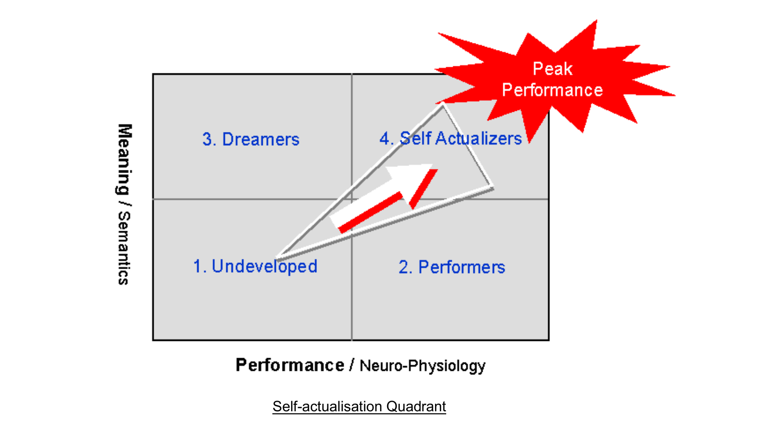 Meaning and performance quadrants: Undeveloped, Dreamers, Performers and Self Actualizers.