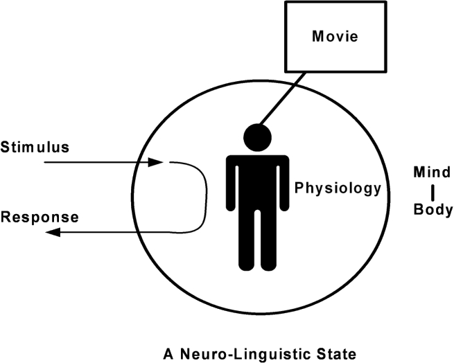 Original Figure 1: stimulus, response, movie and physiology in a neuro-linguistic mind-body state.