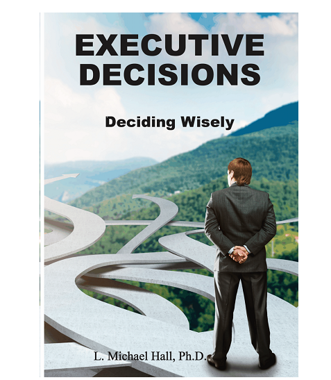 Executive Decisions book cover